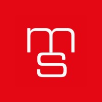 Marketing Snippet Official logo - Similar company to Stackexplorers ™ : Digital Soluion And Marketing Agency