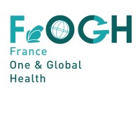 FrOGH - France One & Global Health logo - Similar company to Rvlt Life Sciences Advisors
