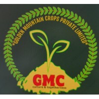 GOLDEN MOUNTAIN logo - Similar company to Avinya International