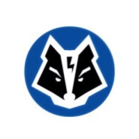 LearnWolf logo - Similar company to Codevo Academy