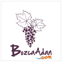 Tenedos (Bozcaada) logo - Similar company to Chef Bro'S