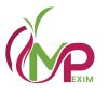 M P EXIM logo - Similar company to Green Core Impex