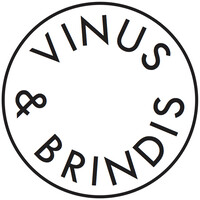 VINUS & BRINDIS logo - Similar company to Vinus - Pinpay Express