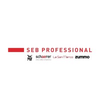 SEB Professional UK logo - Similar company to Copy It Technical