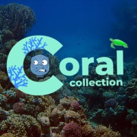 Coral Collection