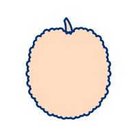 Litchi Solutions logo - Similar company to Codemap Agency