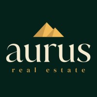 Aurus Real Estate logo - Similar company to Artifnet Global