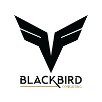 Blackbird Consulting Group logo - Similar company to Blackbird Consulting