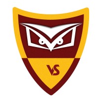 VIGILANT SECURITY LTD. logo - Similar company to Kevlar Security Ltd