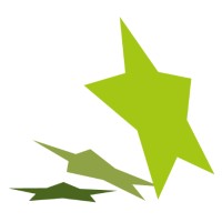 Brilliant Stars International School logo - Similar company to New Mindset Coaching & Training (Nmct)