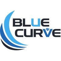 Blue Curve logo - Similar company to Nesmt Almalaky Llc