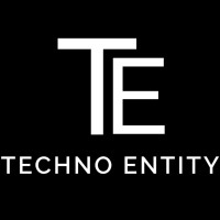 Techno Entity logo - Similar company to Intechrior