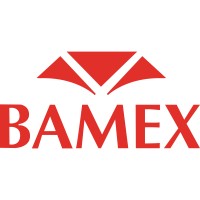 Grupo Bamex, S.A. de C.V. logo - Similar company to Jk Technologies