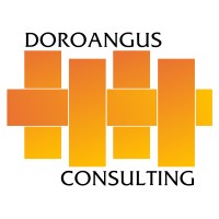 Doroangus Consulting logo - Similar company to V Carbon