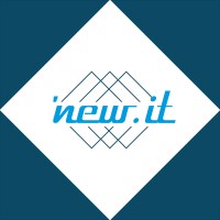 'NEW IT logo - Similar company to Nt It