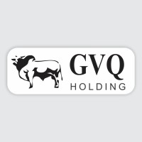 GVQ Holding S.A. logo - Similar company to Sercon Barretos Serviços Contábeis