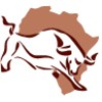 Securities Africa logo - Similar company to Capital A Investment Bank