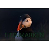 Finnmarken Aps
