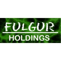 Fulgur Holdings Llc