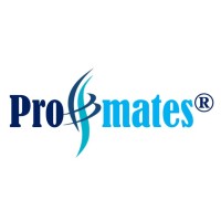 Professional Mates International logo - Similar company to Hireandseeks