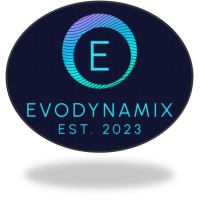 EvoDynamix Solutions logo - Similar company to Techshiri