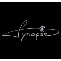 Projekt Synapse logo - Similar company to Městská Kulturní Zařízení V Litoměřicích, P.O.