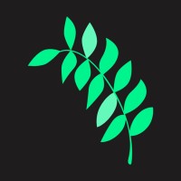 Branchleaf Digital logo - Similar company to Clausewitz Reyes