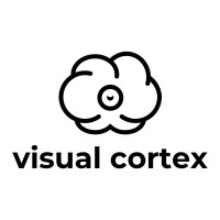 VISUAL CORTEX logo - Similar company to Visualcortex