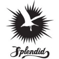 Splendid logo - Similar company to Bongomatik