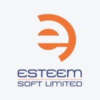 ESTEEM SOFT LIMITED logo - Similar company to Techabyte Solutions