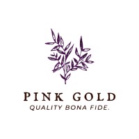 Pink Gold Animation Studios logo - Similar company to Epic Animation Studios