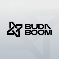 Buda Boom logo - Similar company to Lucidquery