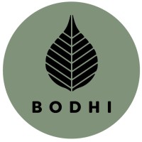 Bodhi Vans logo - Similar company to Beartooth Vanworks