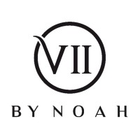 Sevenbynoah logo - Similar company to Digination