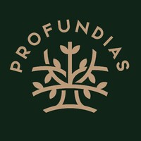 Profundias logo - Similar company to Boficon