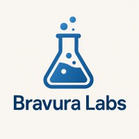Bravura cabs logo - Similar company to Vision Feasibilit Solutions