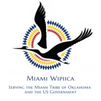 Miami WIIPICA logo - Similar company to Miami Technology Solutions, Llc