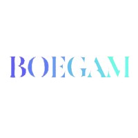 Shenzhen Boegam Technolgoy Co.,Ltd logo - Similar company to Shenzhen Grastron Technology Co., Ltd