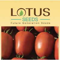 lotus seeds logo - Similar company to Hebei Shuangxing Seeds Co.,Ltd