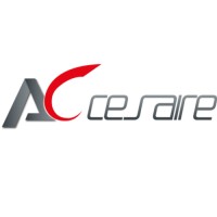 LYCEE PROFESSIONNEL AIME CESAIRE logo - Similar company to Infrep Paris