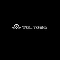 Voltorq Karting logo - Similar company to Lonotek