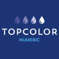 Topcolor Numéric logo - Similar company to Bms Tec
