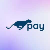 ChytaPay logo - Similar company to Scvsoft