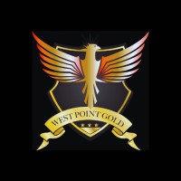 West Point Gold (TSXV: WPG | OTCQB: WPGCF) logo - Similar company to Artemis Resources