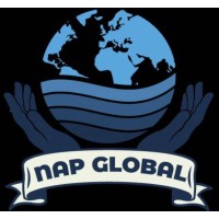 NAP GLOBAL logo - Similar company to Sjs Automation And Engineering Solutions