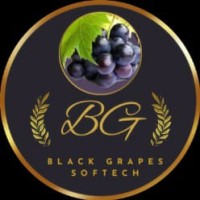 Black Grapes Softech India logo - Similar company to Blocktech