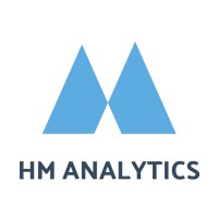 HM Analytics logo - Similar company to P Mrkt