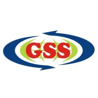 Global Safe and Secure logo - Similar company to Starforce Security Service