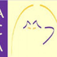 Abbey Cat Adoptions