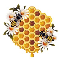 myPollinator logo - Similar company to Bees Brothers